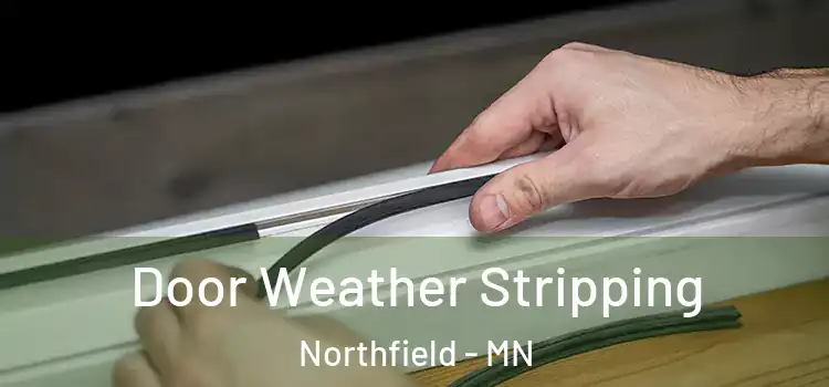 Door Weather Stripping Northfield - MN